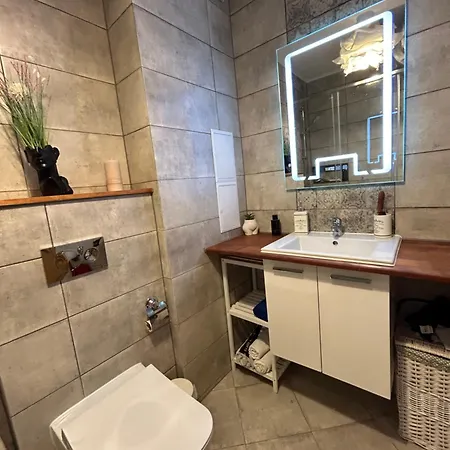 公寓 Edmond Apartment-highspeed-internet-free! *